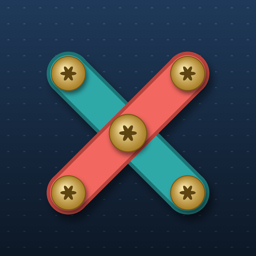 Plank Nuts: Screw Puzzle icon
